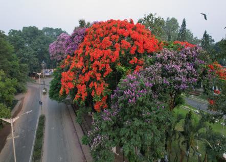 OIL Township Duliajan